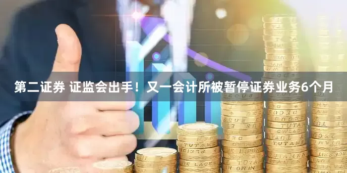 第二证券 证监会出手！又一会计所被暂停证券业务6个月