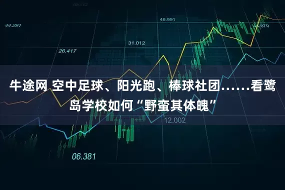 牛途网 空中足球、阳光跑、棒球社团……看鹭岛学校如何“野蛮其体魄”