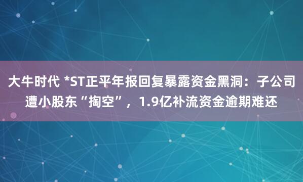 大牛时代 *ST正平年报回复暴露资金黑洞：子公司遭小股东“掏空”，1.9亿补流资金逾期难还